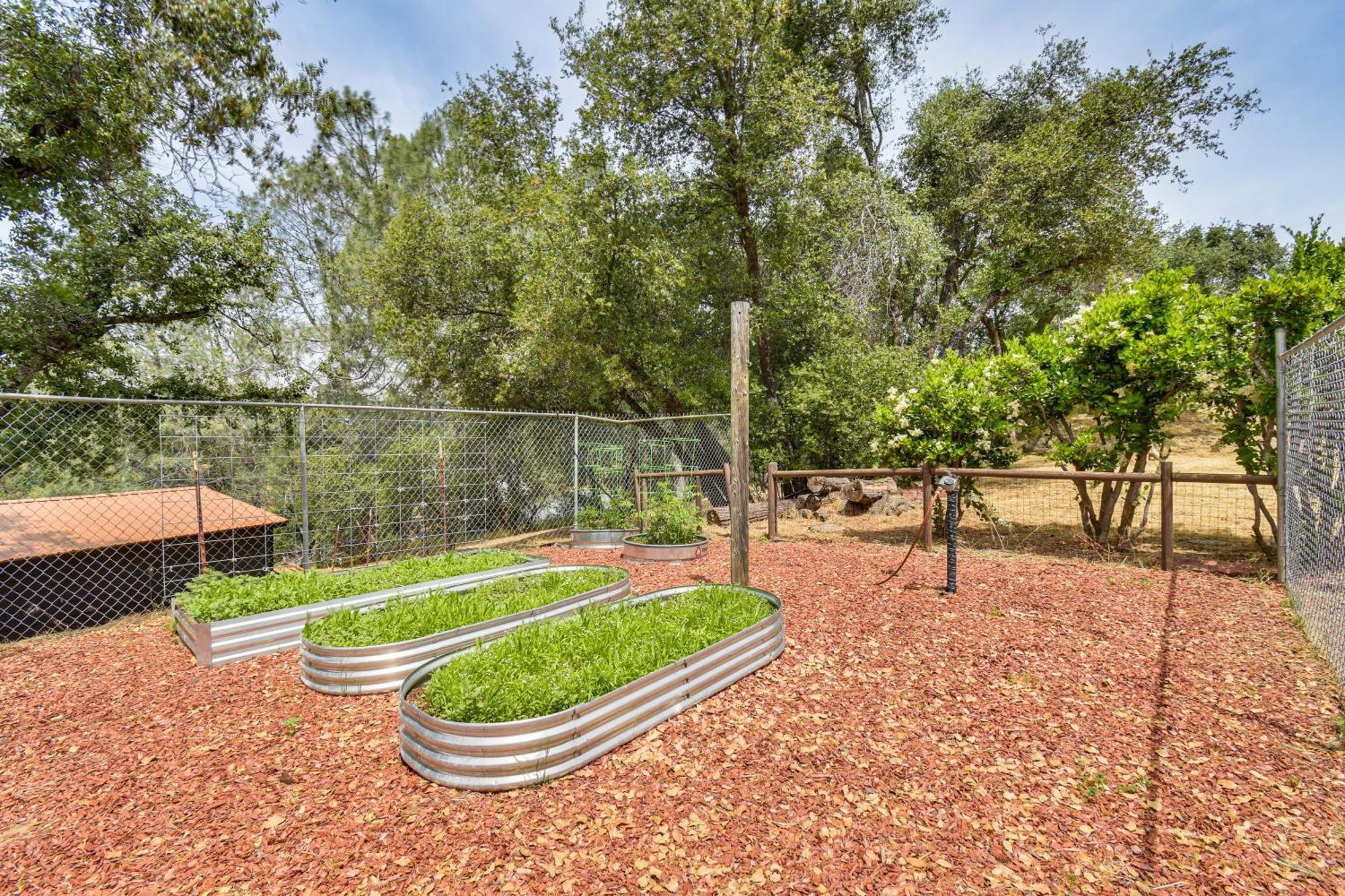 Yosemite Wellbeing Retreat On 5 Acres With Mtn Views Apartment Ahwahnee Bagian luar foto